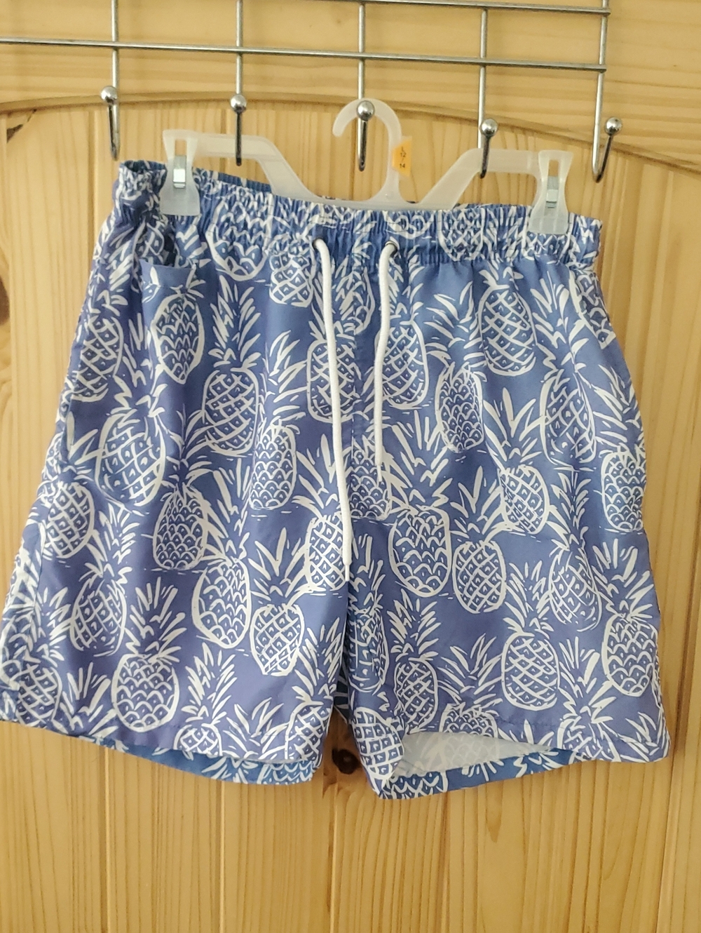 Mens Free Planet Swim Trunks